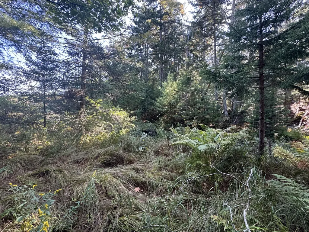 0 Main Road Phippsburg ME 04565