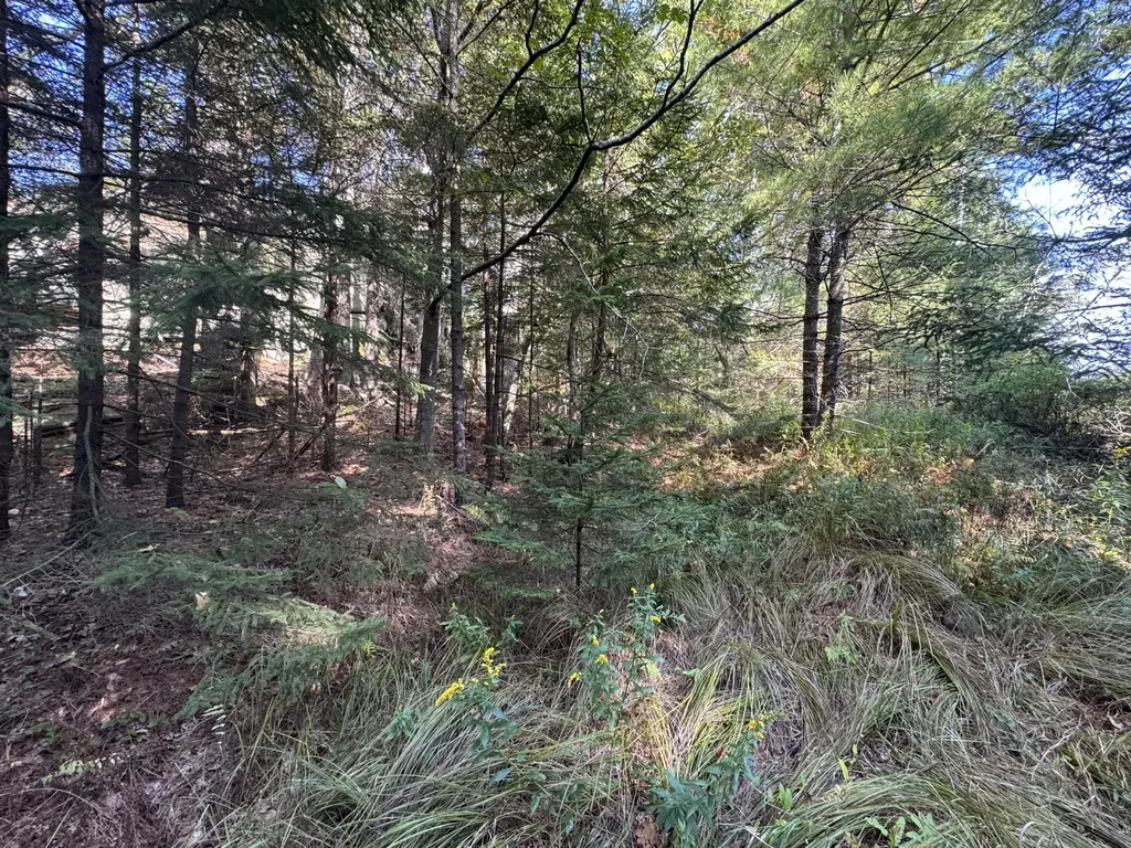 0 Main Road Phippsburg ME 04565