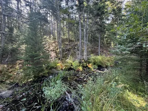 0 Main Road Phippsburg ME 04565