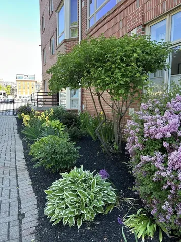 703 Chandlers Wharf Portland ME 04101