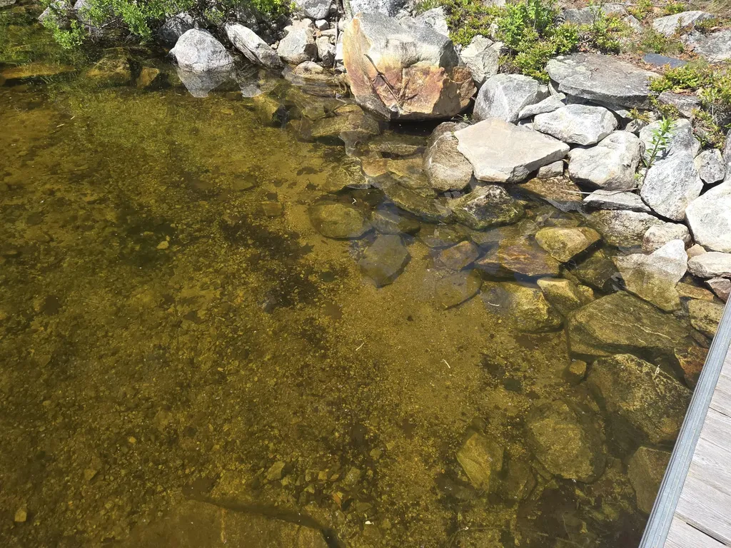 108 Rocky Shore Drive Orrington ME 04474