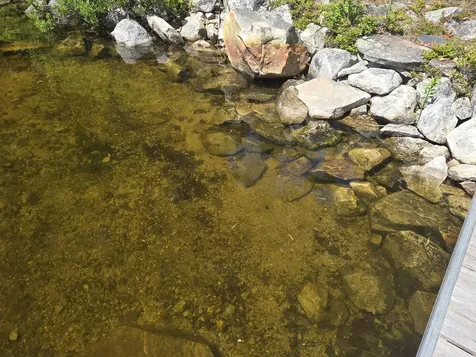 108 Rocky Shore Drive Orrington ME 04474