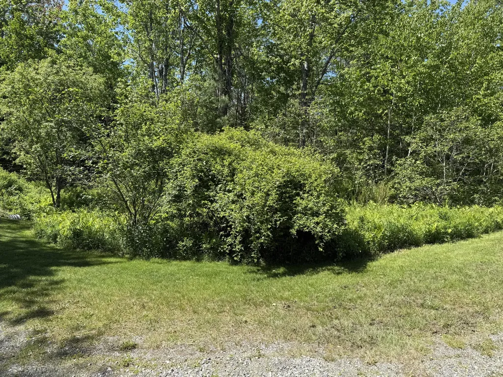 Map 20 Lot 14-10 Iron Tree Street South Thomaston ME 04858