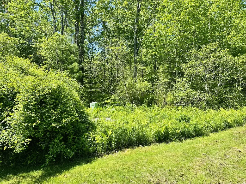 Map 20 Lot 14-10 Iron Tree Street South Thomaston ME 04858