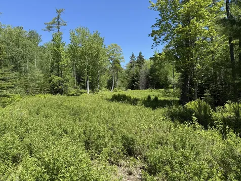 Map 20 Lot 14-10 Iron Tree Street South Thomaston ME 04858