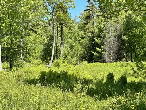 Map 20 Lot 14-10 Iron Tree Street South Thomaston ME 04858