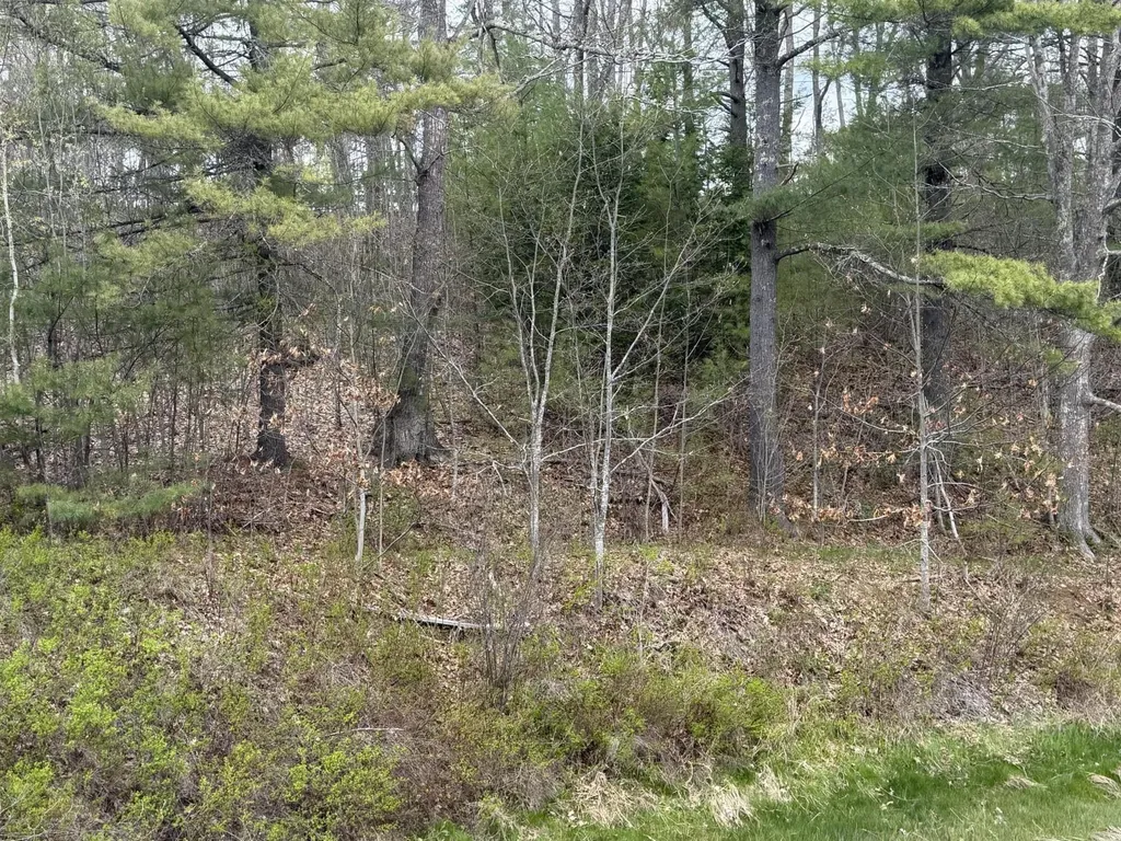 Lot R05129 Polly Clark Brook Wiscasset ME 04578