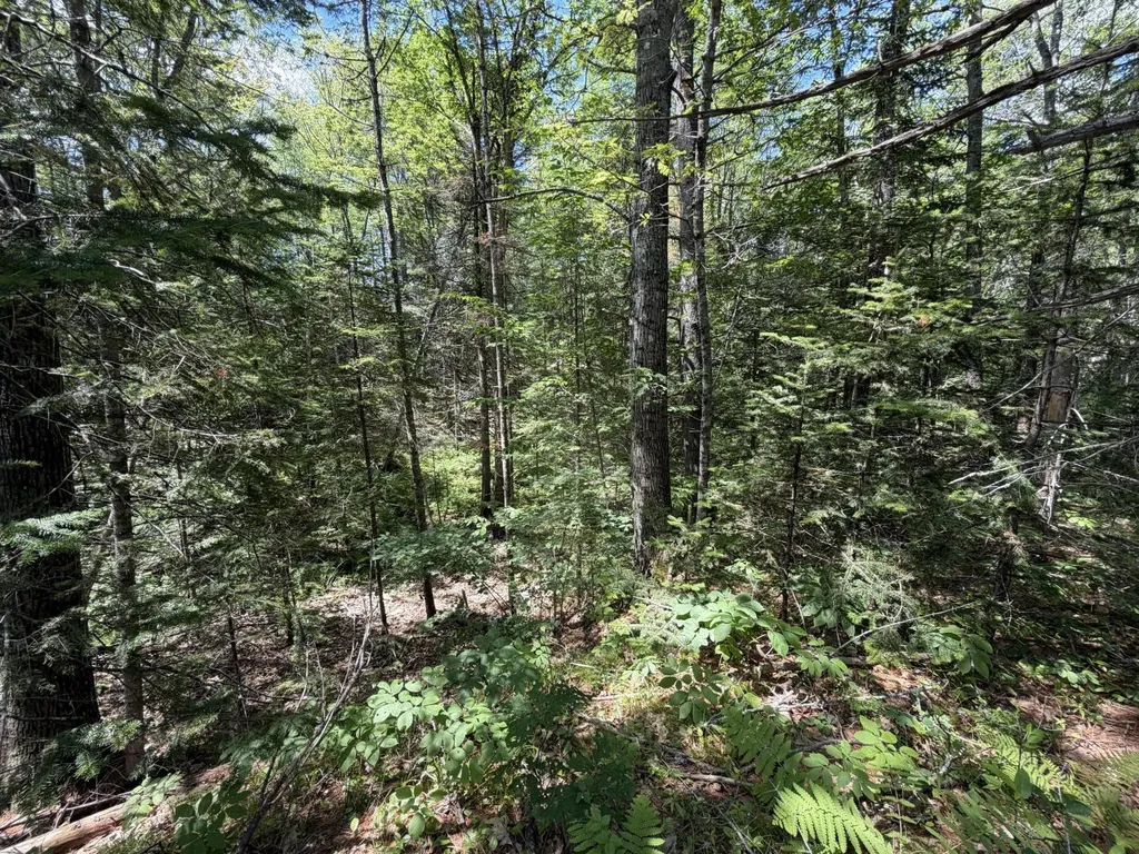 Lot R05129 Polly Clark Brook Wiscasset ME 04578