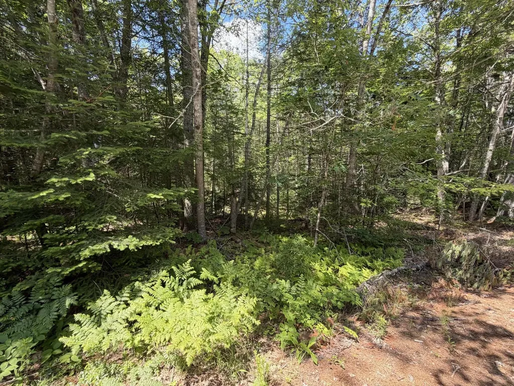 Lot R05129 Polly Clark Brook Wiscasset ME 04578