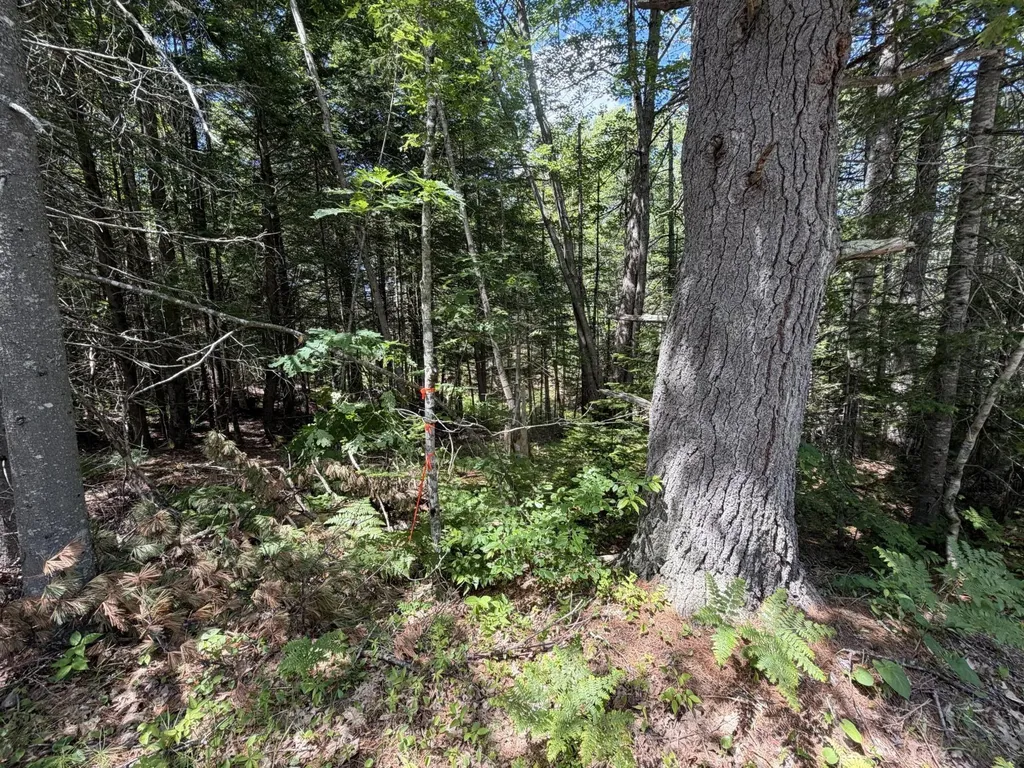 Lot R05129 Polly Clark Brook Wiscasset ME 04578