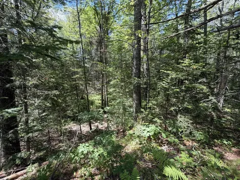 Lot R05129 Polly Clark Brook Wiscasset ME 04578