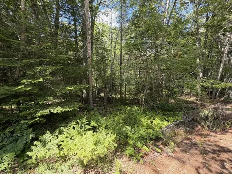 Lot R05129 Polly Clark Brook Wiscasset ME 04578