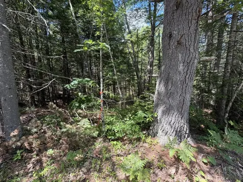 Lot R05129 Polly Clark Brook Wiscasset ME 04578