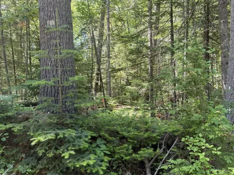 Lot R05129 Polly Clark Brook Wiscasset ME 04578