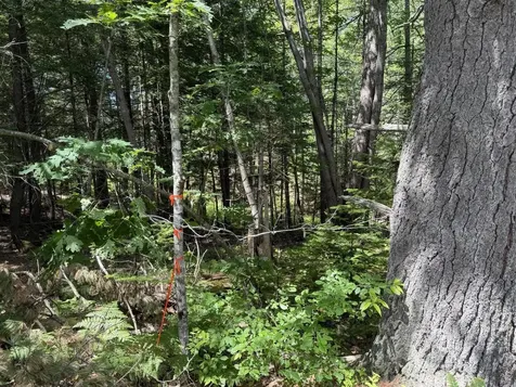Lot R05129 Polly Clark Brook Wiscasset ME 04578