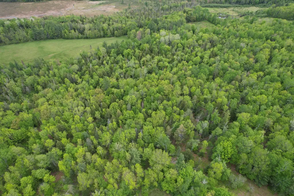 212 Mile Square Road Phillips ME 04966