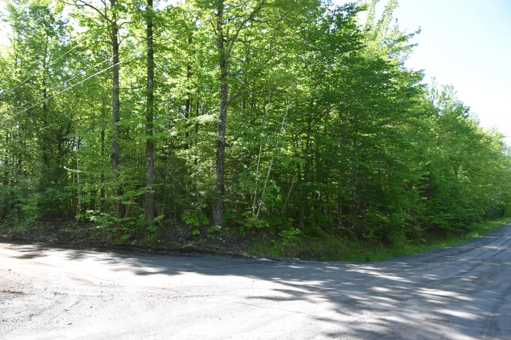 M10 L6-1 Hancock Pond Road Embden ME 04958