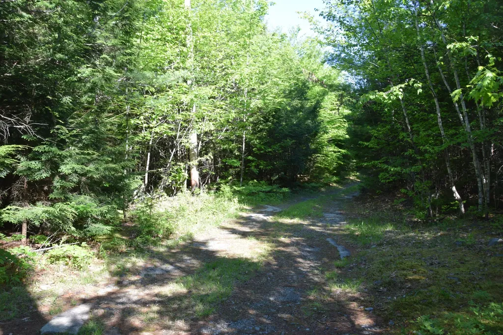 M10 L6-1 Hancock Pond Road Embden ME 04958