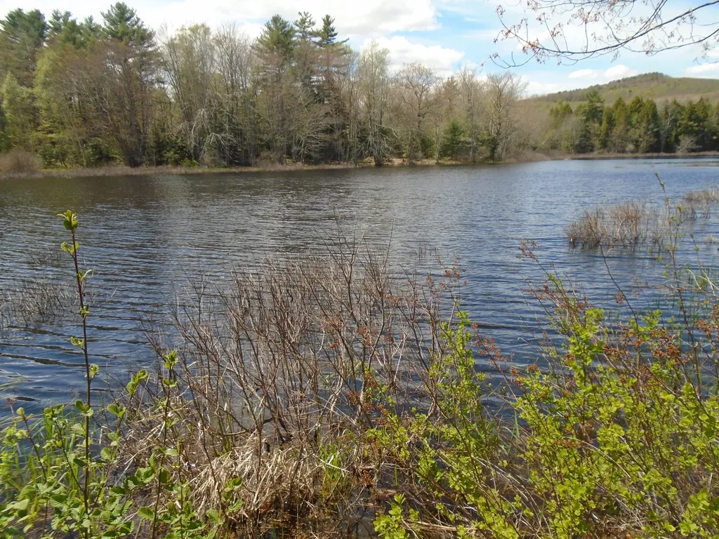 108 Trues Pond Road Montville ME 04941