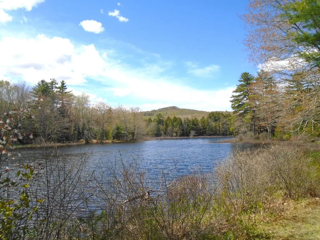 108 Trues Pond Road Montville ME 04941