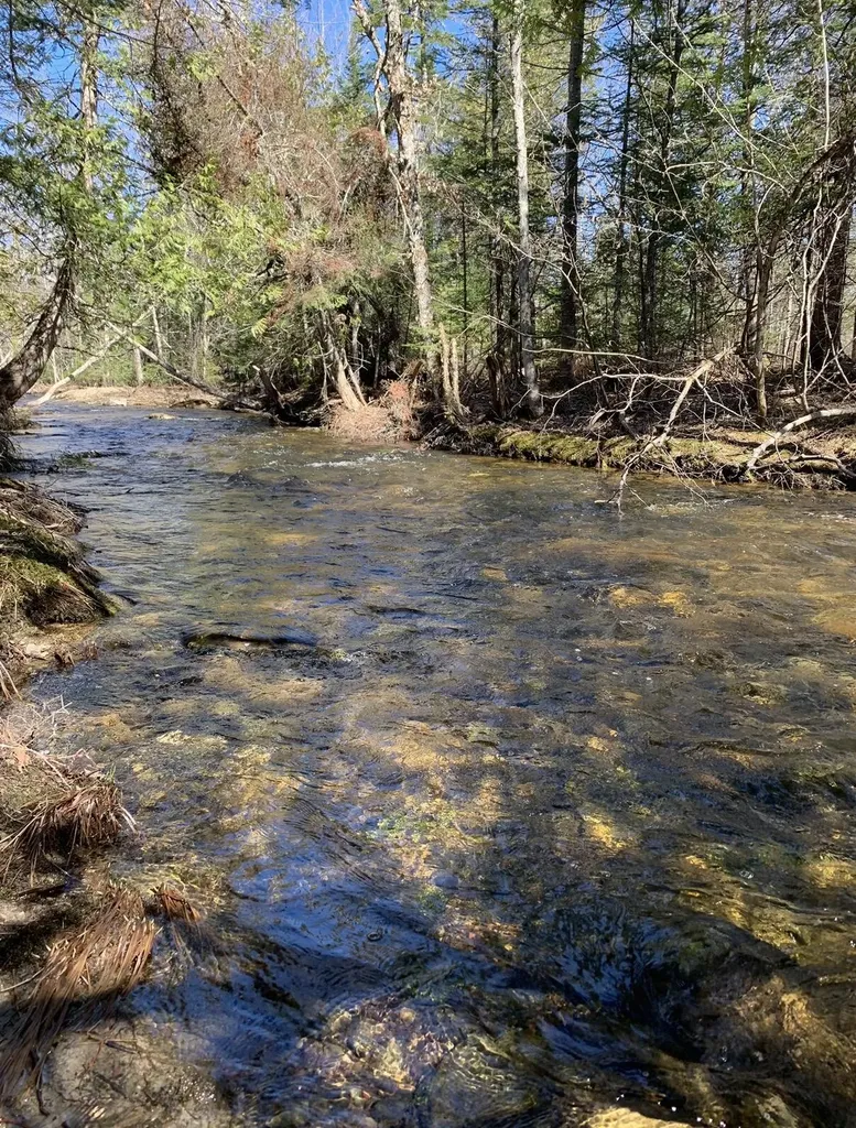 Off North Road Mount Chase ME 04765