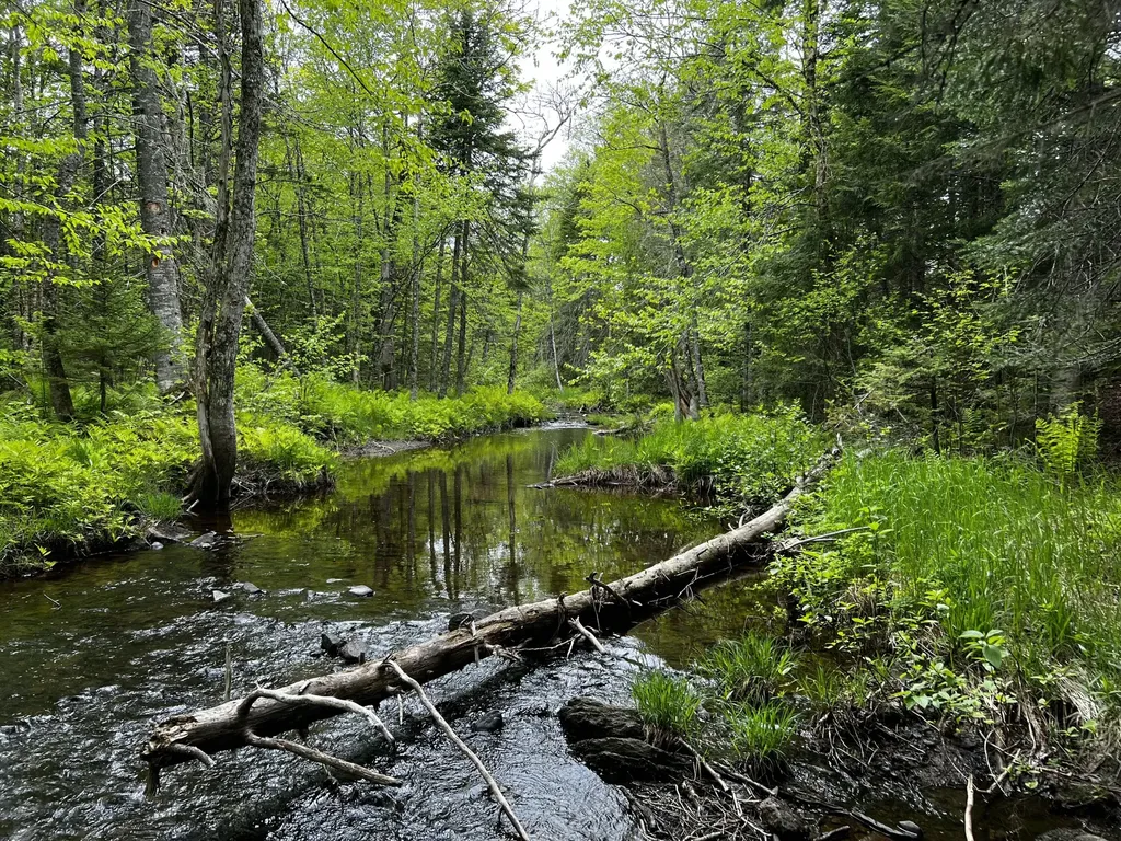 Off North Road Mount Chase ME 04765