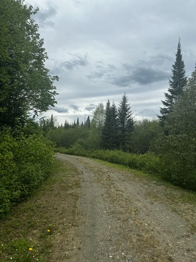 Off North Road Mount Chase ME 04765