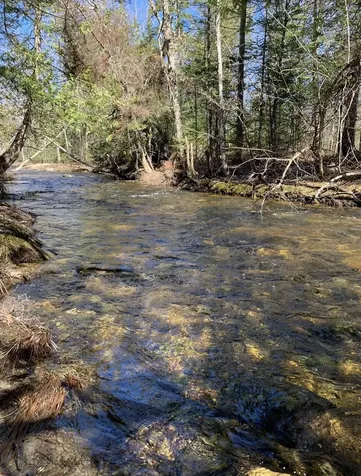 Off North Road Mount Chase ME 04765
