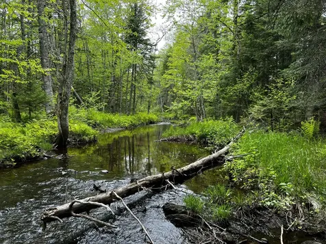 Off North Road Mount Chase ME 04765