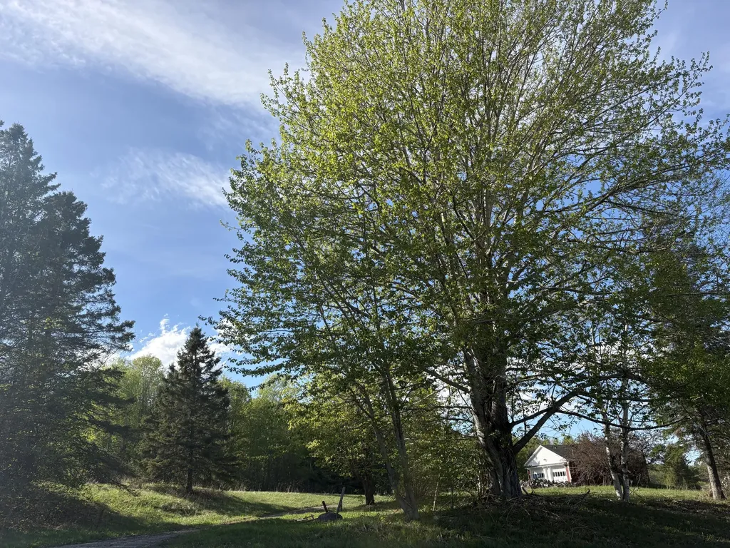 330 Presque Isle Road Fort Fairfield ME 04742