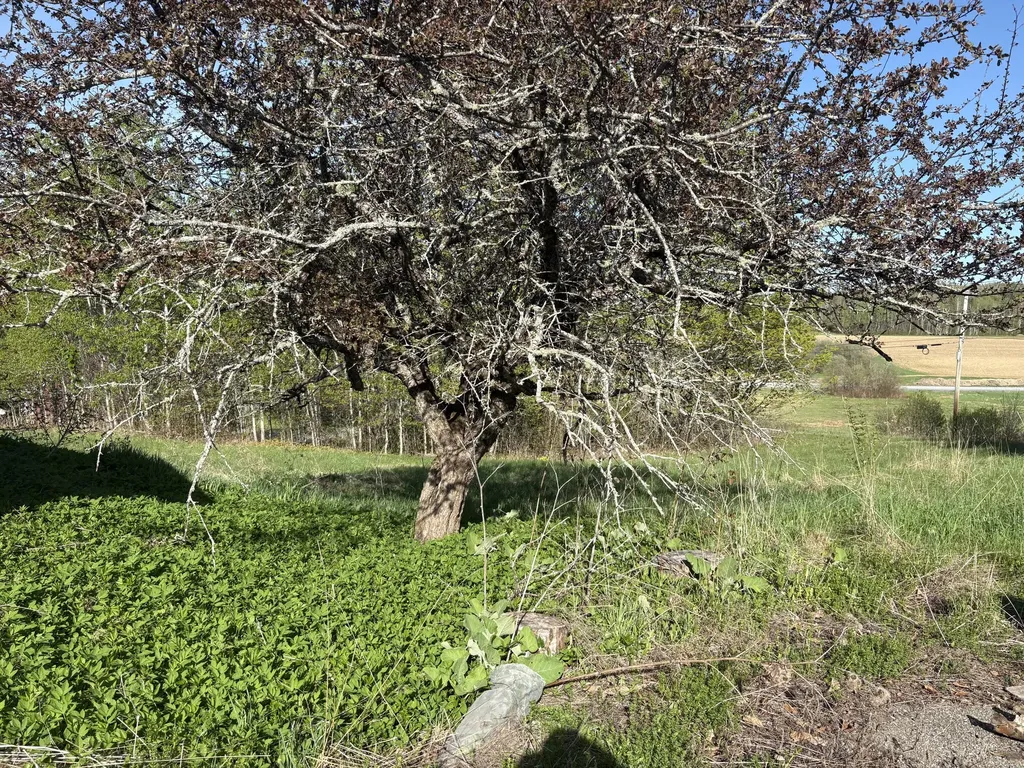 330 Presque Isle Road Fort Fairfield ME 04742