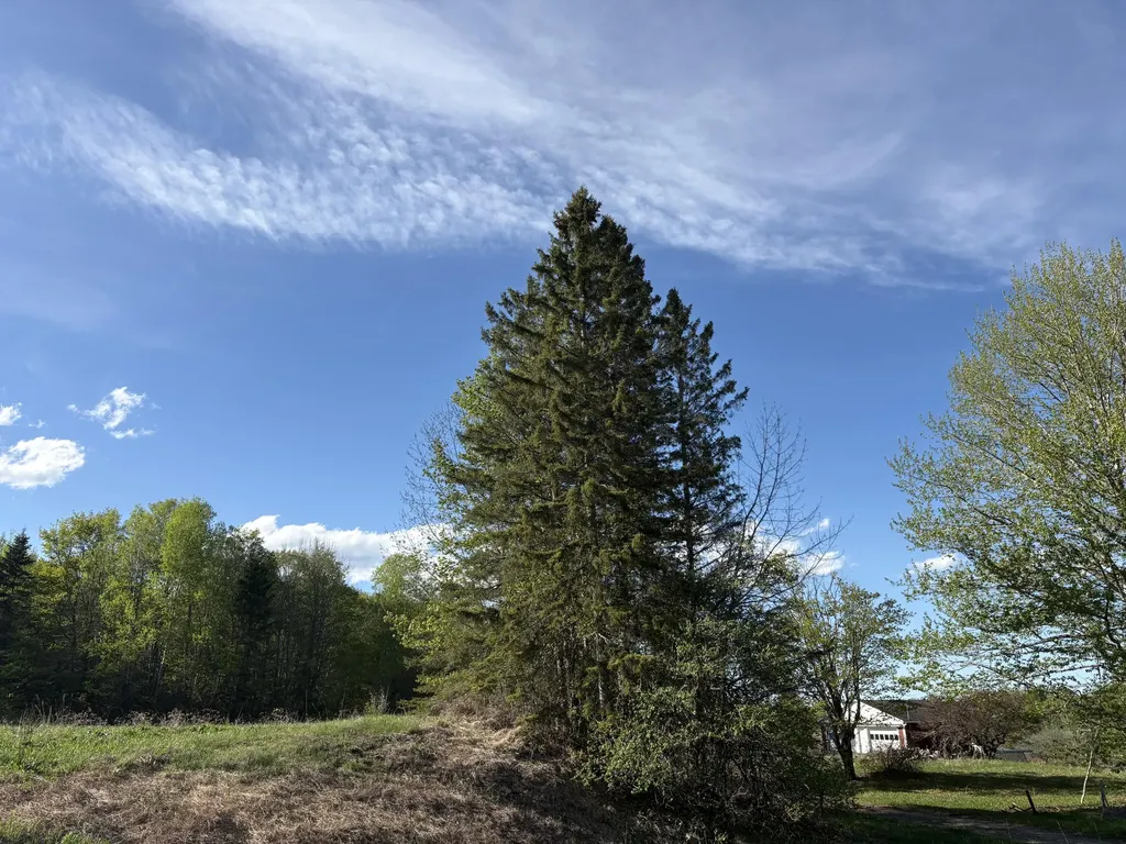 330 Presque Isle Road Fort Fairfield ME 04742