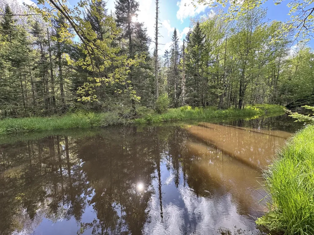 Washington ME, Map8Lot19G Jefferson Road