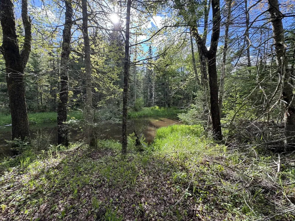 MAP8LOT19G Jefferson Road Washington ME 04574