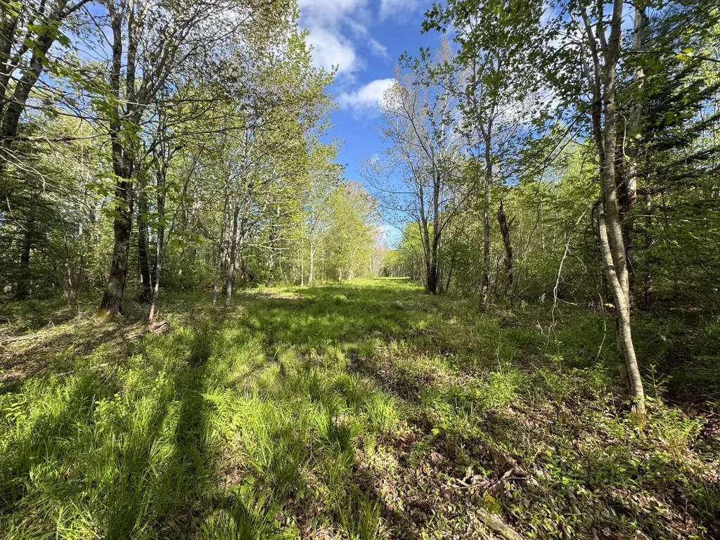 MAP8LOT19G Jefferson Road Washington ME 04574