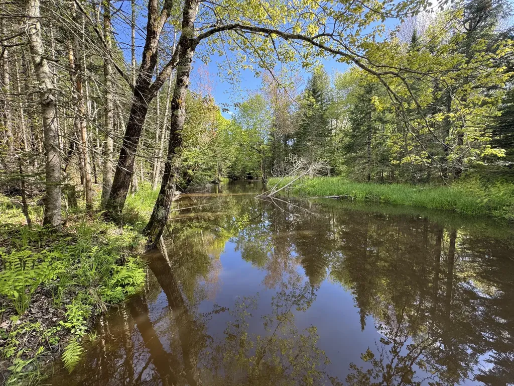 MAP8LOT19G Jefferson Road Washington ME 04574