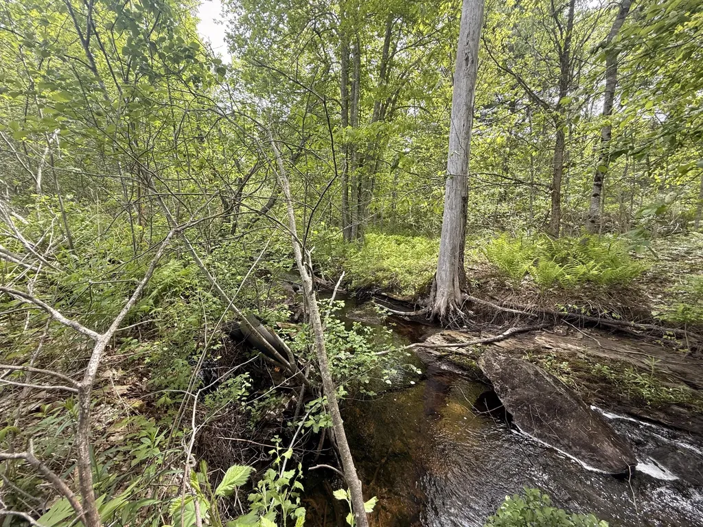 Lot 14 Beach Road Lincolnville ME 04849