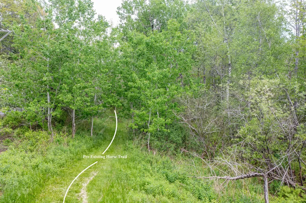 Lot 14 Beach Road Lincolnville ME 04849