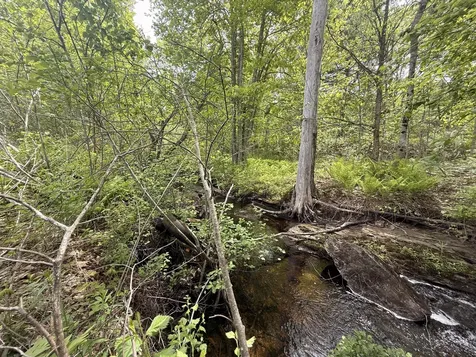 Lot 14 Beach Road Lincolnville ME 04849