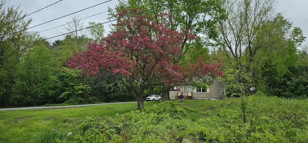 58 Allen Street Wilton ME 04294