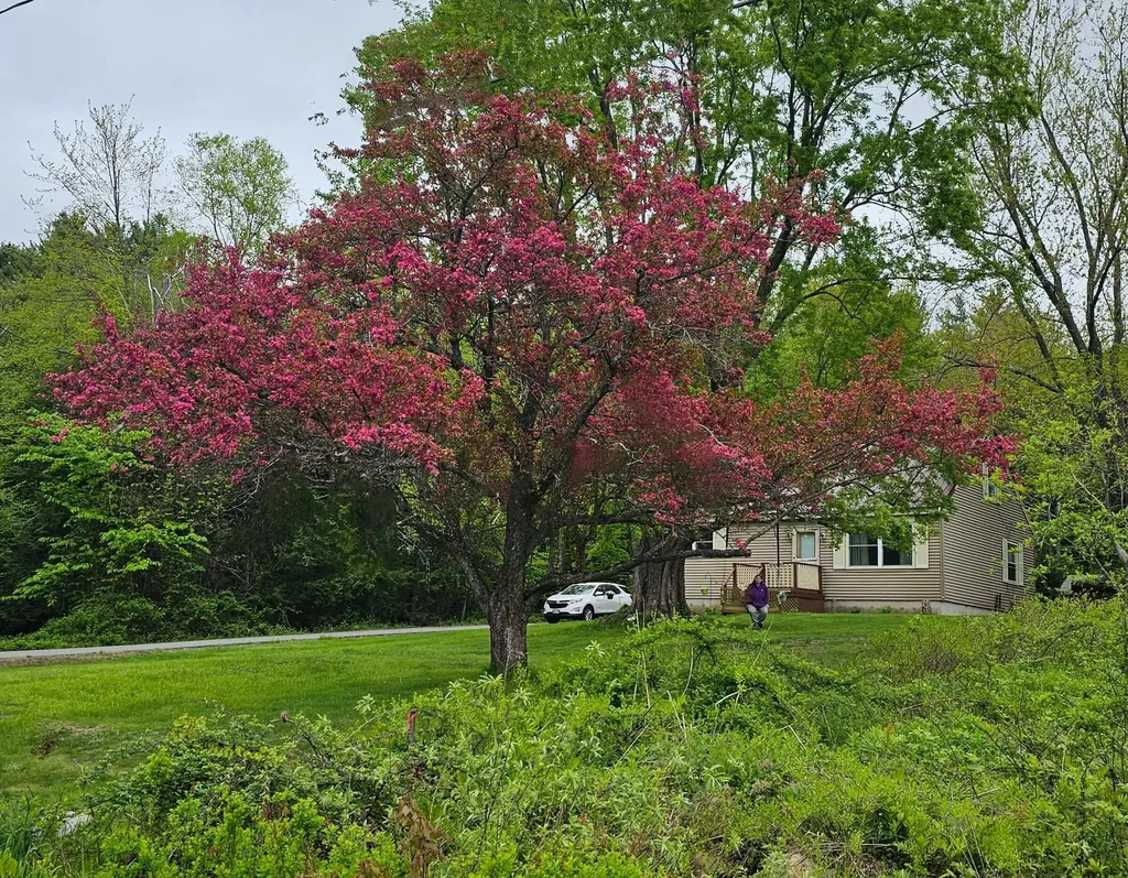 58 Allen Street Wilton ME 04294