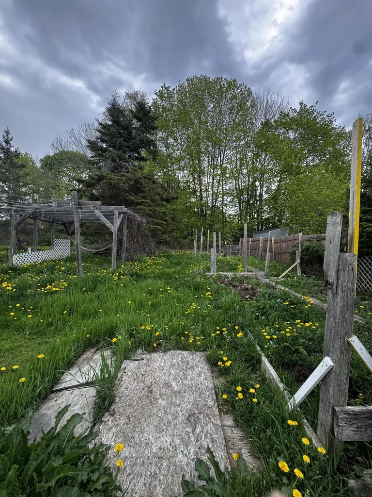 45 Pine Street Bucksport ME 04416