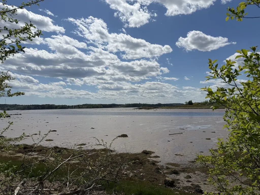 411 Cutler Road Machiasport ME 04655