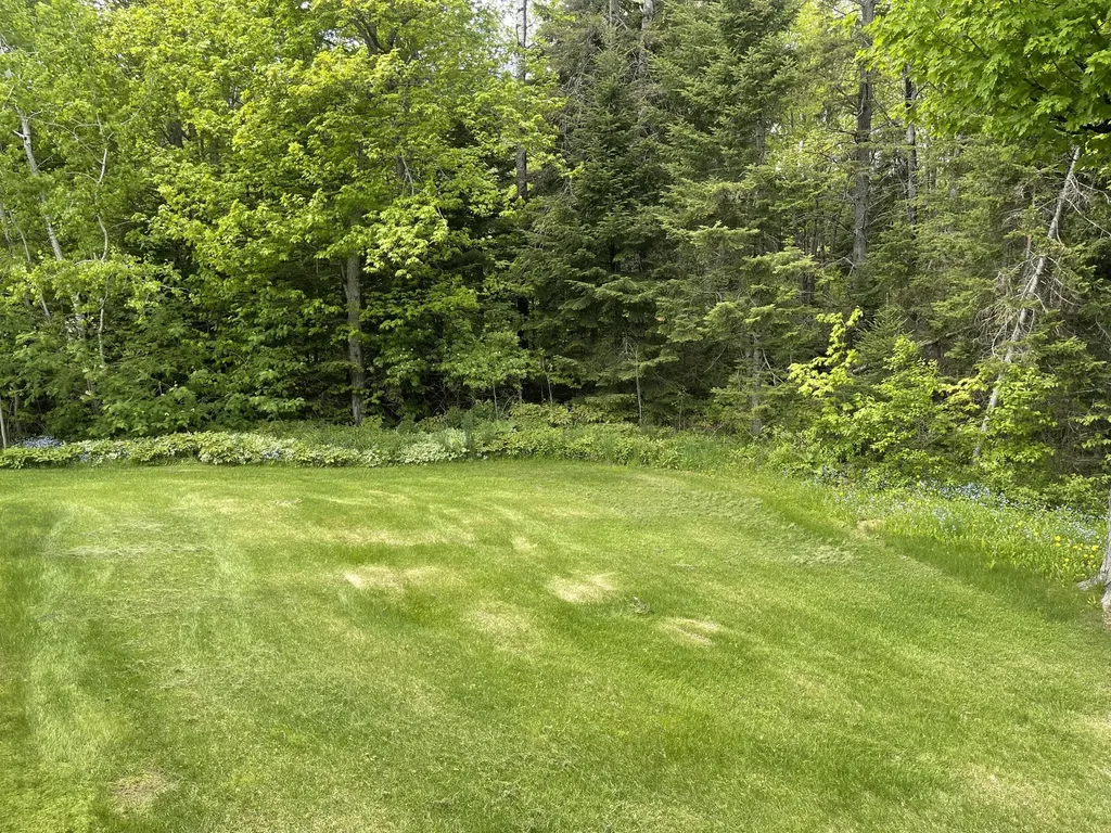 53 Bog Road Limestone ME 04750