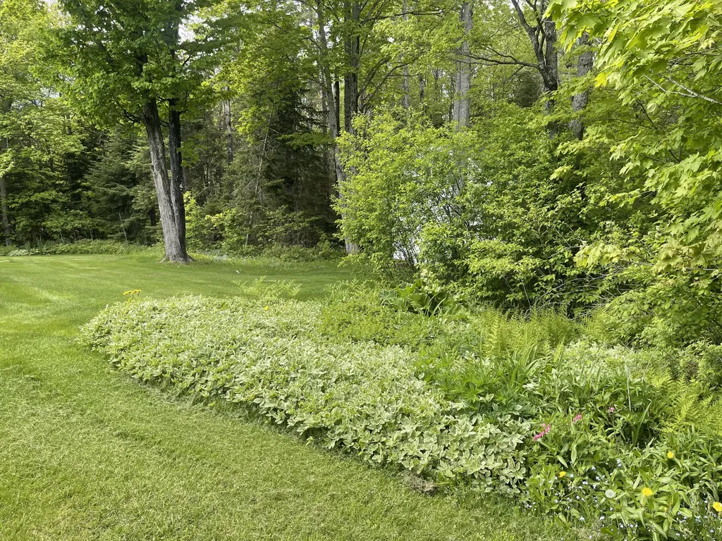 53 Bog Road Limestone ME 04750