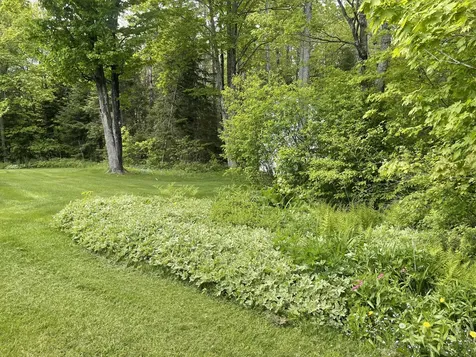53 Bog Road Limestone ME 04750