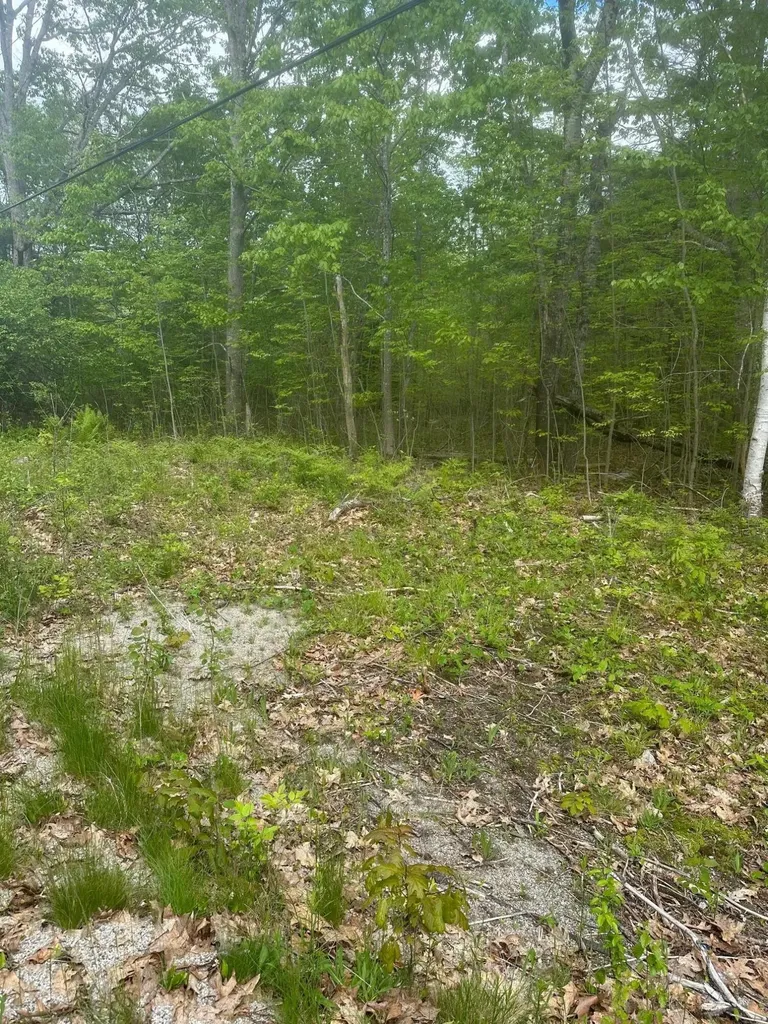 Lot 7 Unionville Road Steuben ME 04680