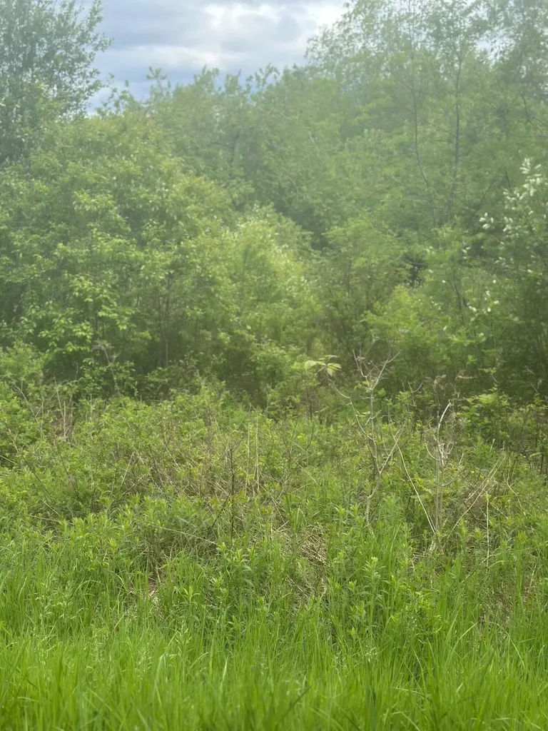 Lot 7 Unionville Road Steuben ME 04680