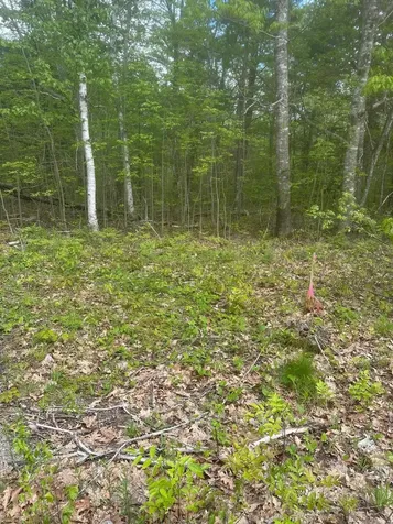 Lot 7 Unionville Road Steuben ME 04680