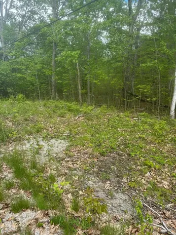 Lot 7 Unionville Road Steuben ME 04680